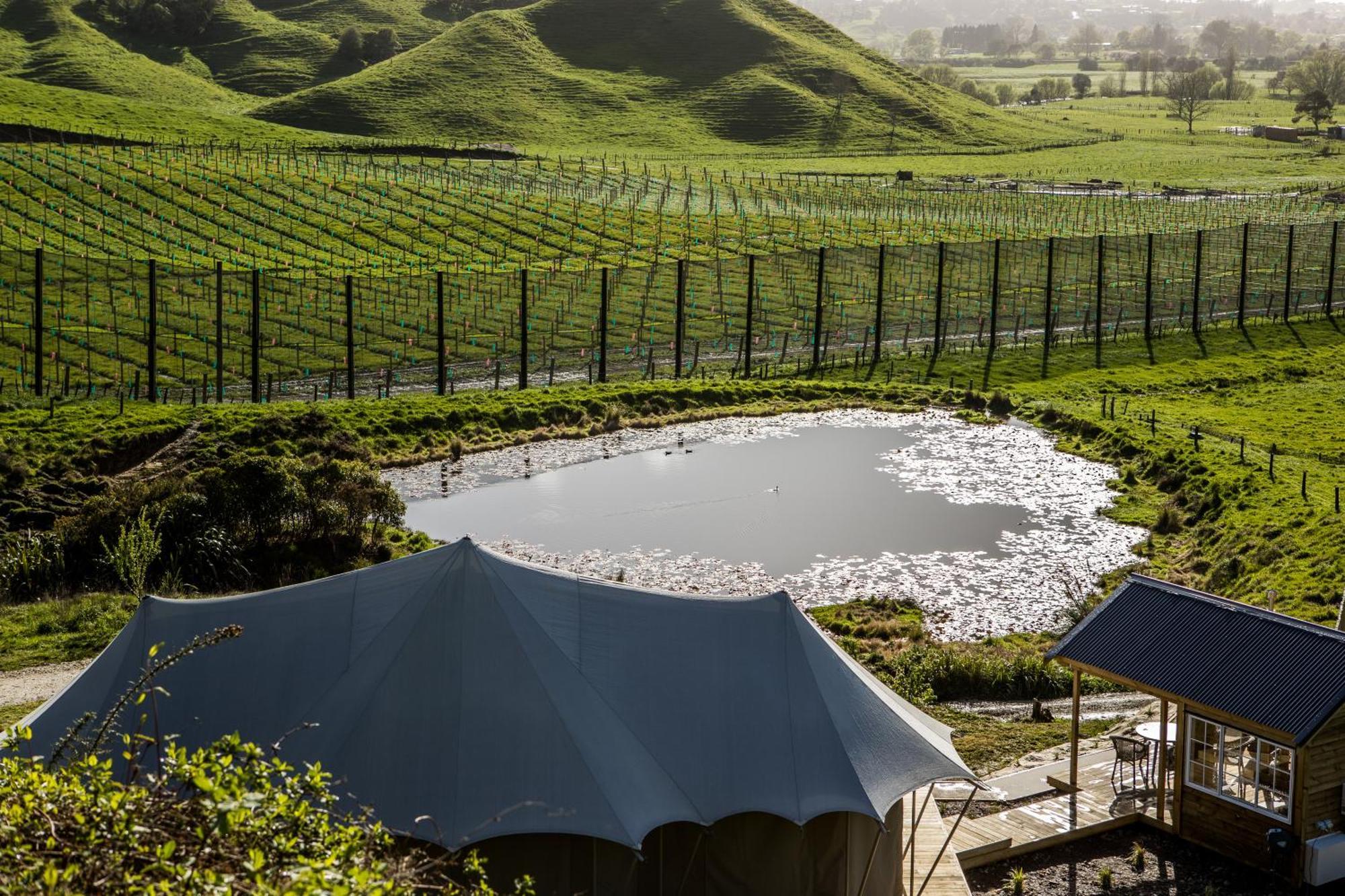 Orchard Valley Glamping Otorohanga Buitenkant foto
